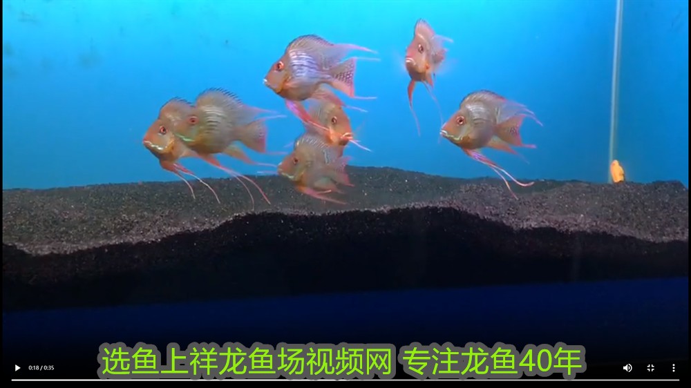 伊罕加熱棒校準(zhǔn)重置，伊罕加熱棒校準(zhǔn)到頭了