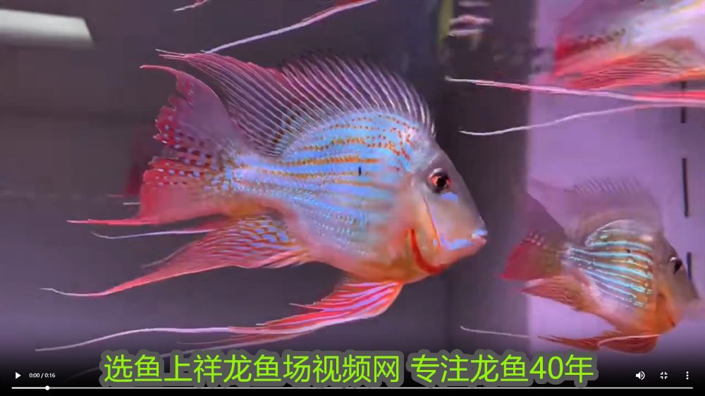 鎮(zhèn)宅最靈的三種東西隨身攜帶：鎮(zhèn)宅最靈的三種東西，守護(hù)家宅安寧的神秘寶物