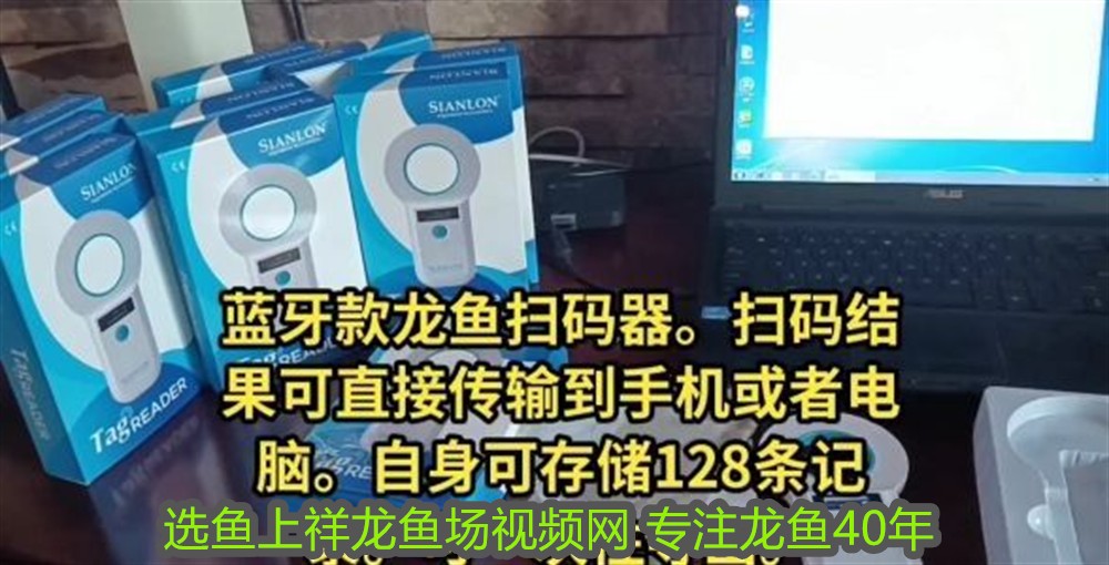 銀龍魚(yú)用嘴巴撞魚(yú)缸是什么原因呢(銀龍魚(yú)嘴巴撞壞了多久能好)