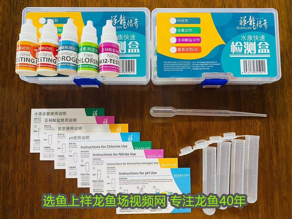 龍魚換背景會反垢嗎(龍魚換背景后膽小怎么辦)