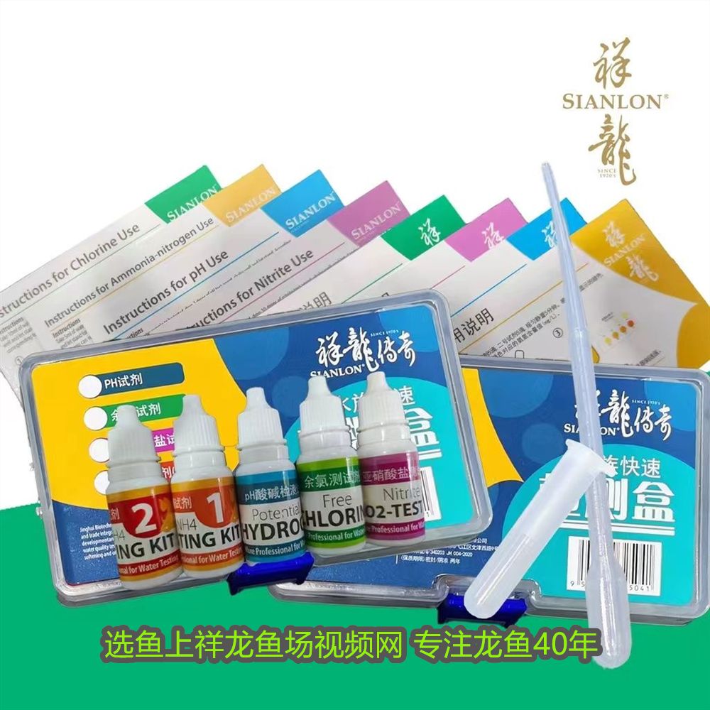 招財金龍魚擺放圖片：招財金龍魚擺放圖，家居風水中的財富象征與布局指南