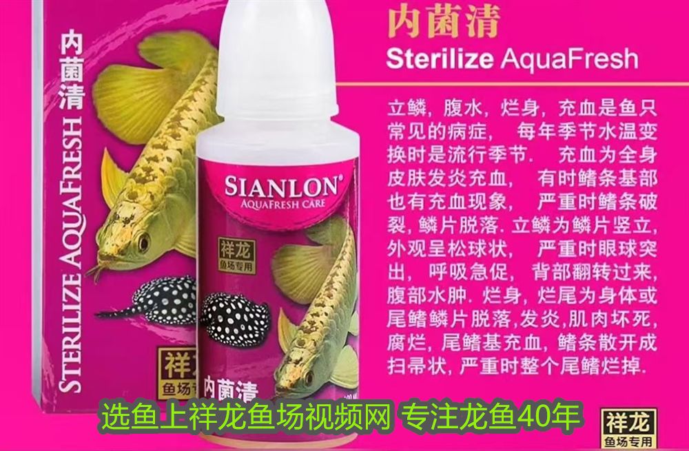 龍魚可以用甲硝唑嗎vs祥龍魚場：甲硝唑在治療龍魚疾病中的應用