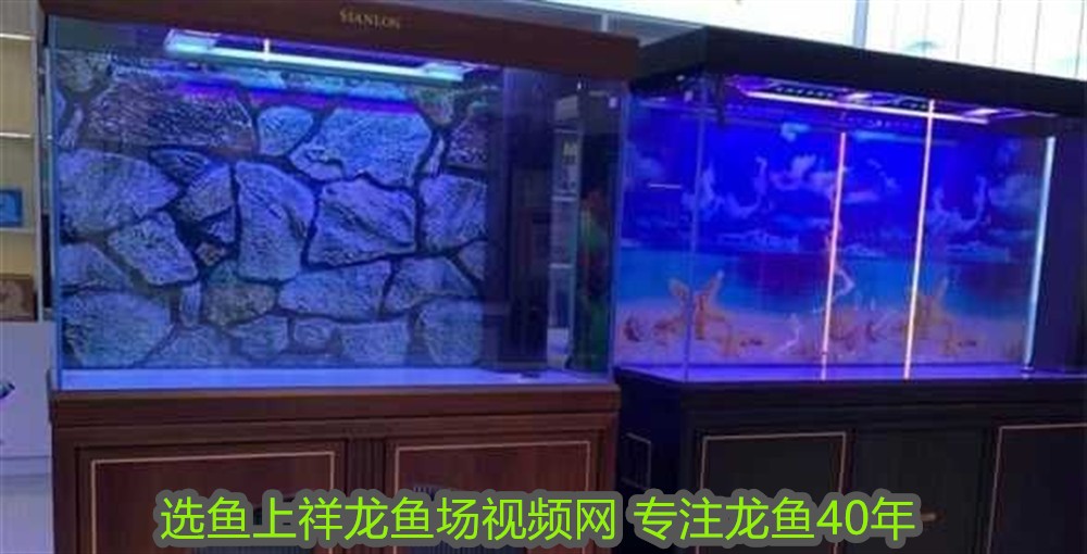 超白鋼化玻璃可以做魚缸嗎：超白鋼化玻璃是否適合做魚缸