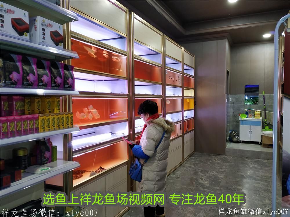 進(jìn)門見魚缸最佳位置風(fēng)水上：進(jìn)門見魚缸，財氣滿盈家