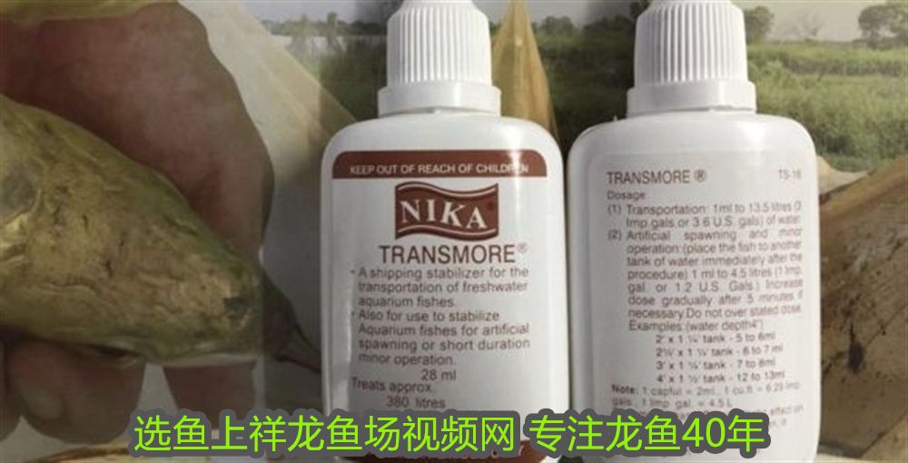 創寧水泵價格不一樣怎么辦呀視頻教程(創寧水泵價格不一樣怎么辦呀視頻教程大全)