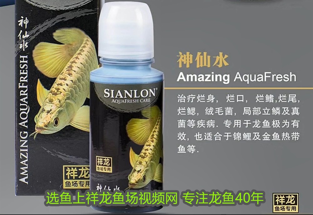 博特變頻泵到底好不好(博特變頻泵到底好不好用呀)