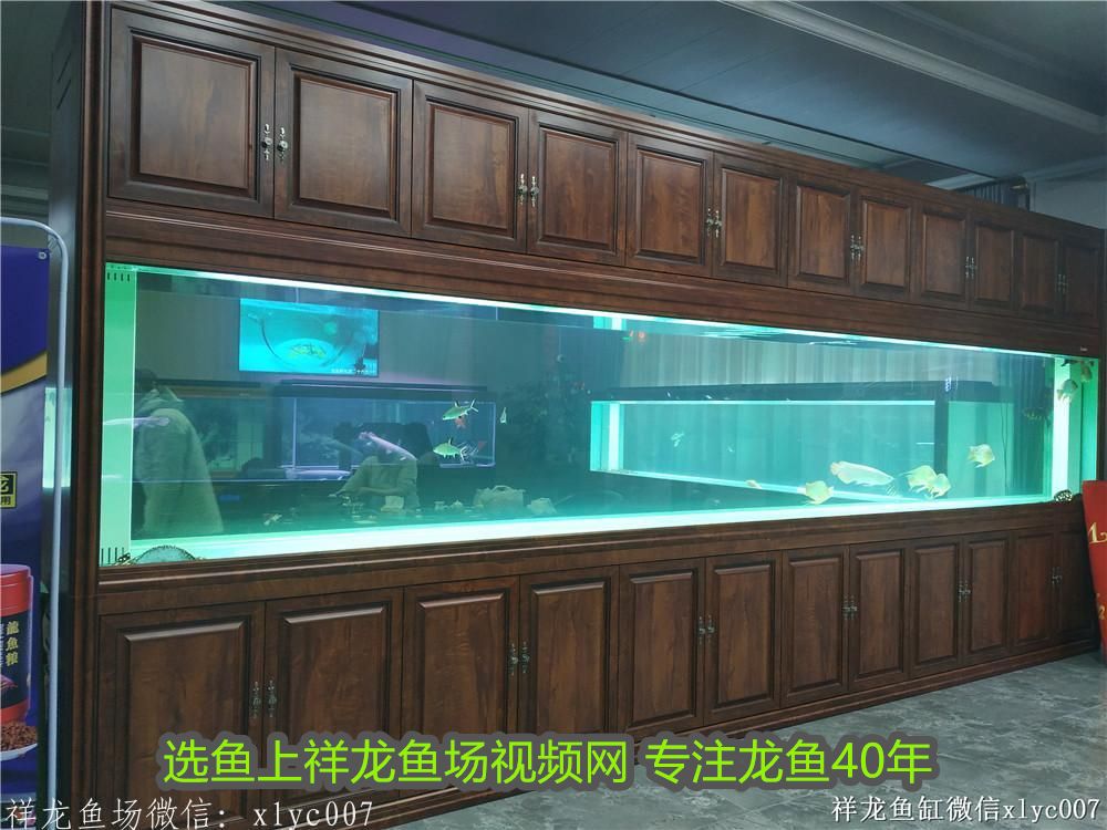 魚(yú)的美好寓意祝福四字成語(yǔ)：魚(yú)的吉祥寓意，傳遞美好祝福的文化符號(hào)